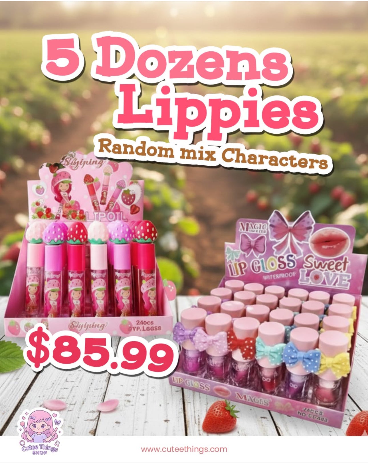 5 Dozens Lippies ( lipstick-lipgloss-lipbalm-lip tint-etc..) Assorted and Variety of characters